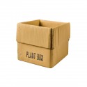 Vaso Box
